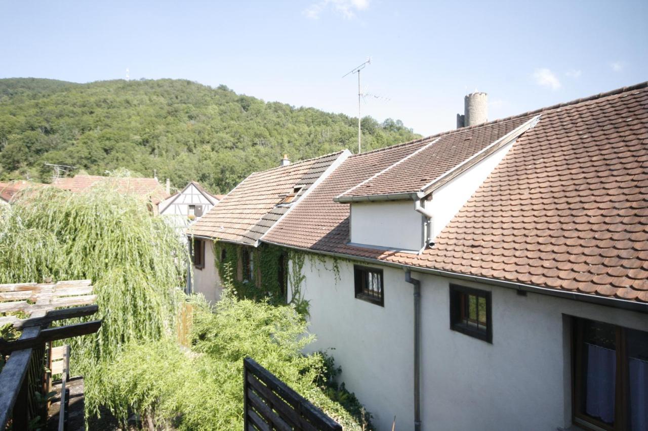Appartement Le Keiler Kaysersberg-Vignoble Kültér fotó